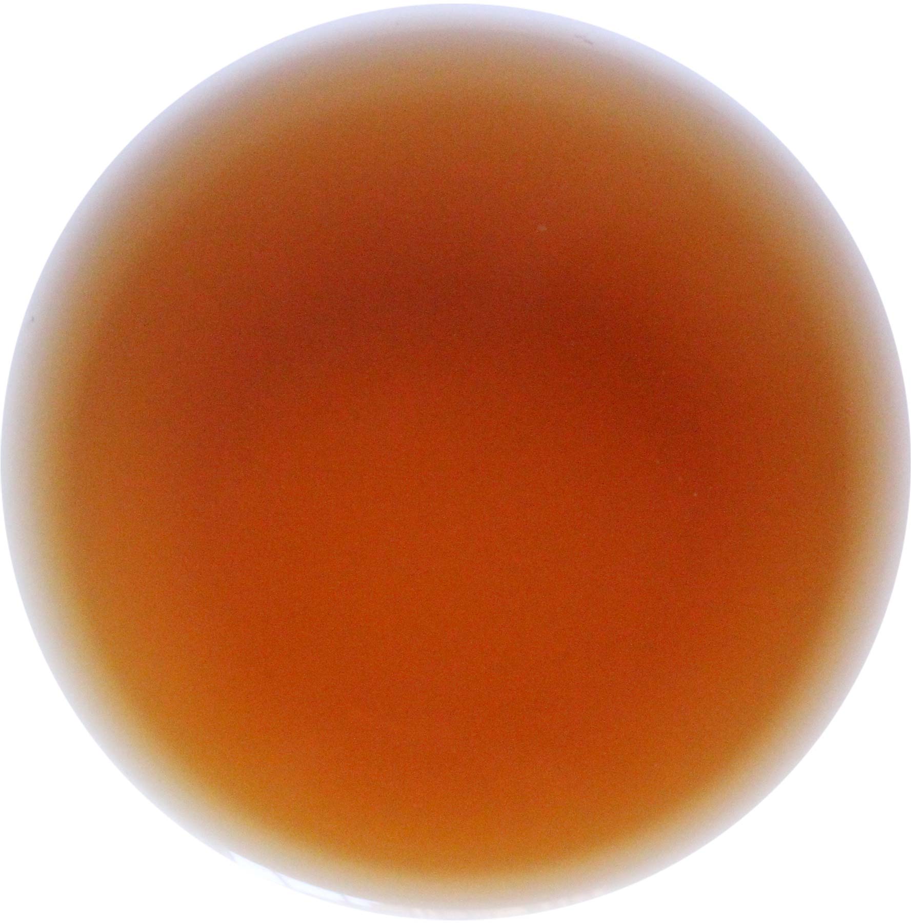 Nepal Autumn Black Tea - Image 2