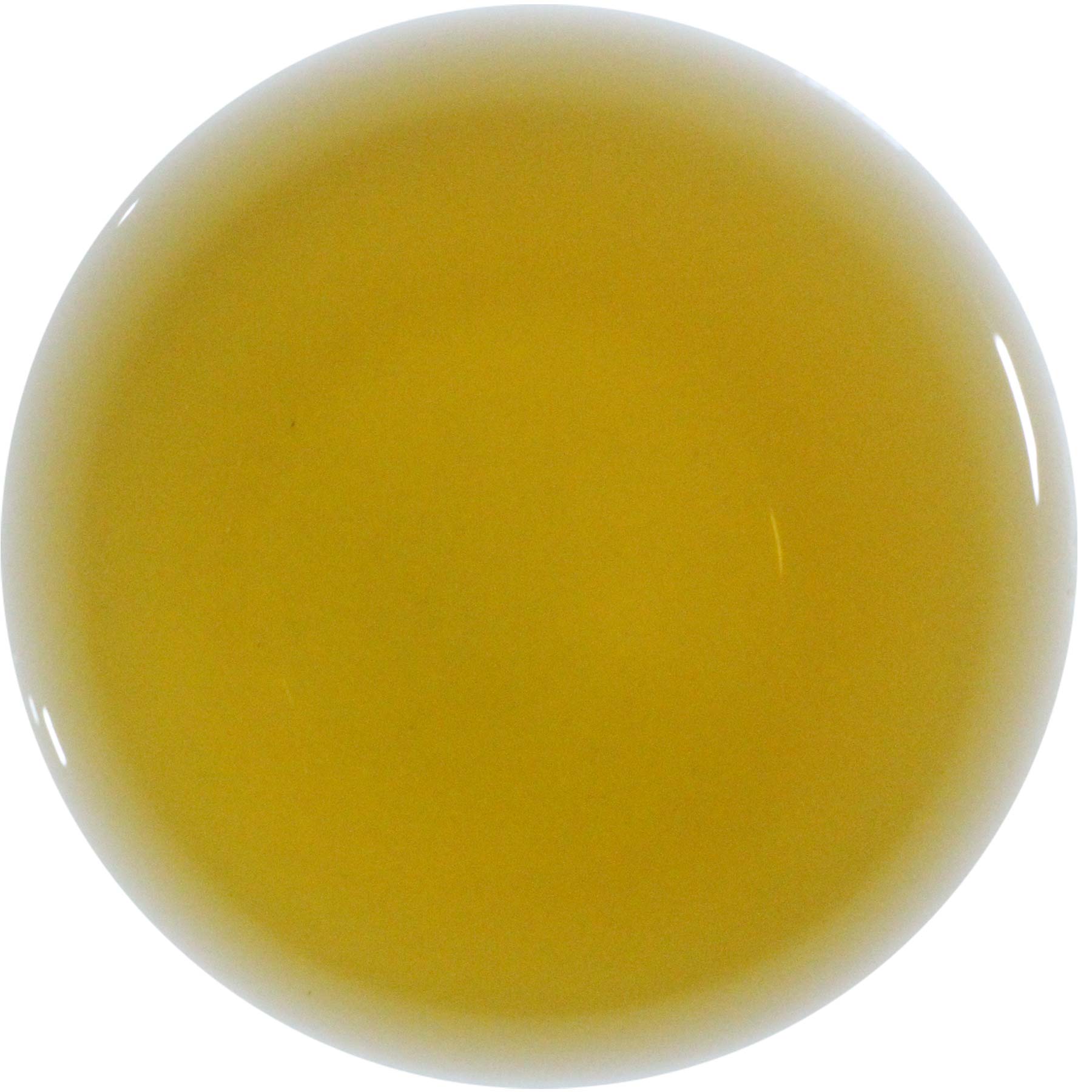 Nepal Second Flush Green Tea - Image 2